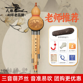 Swan (swan) h31 hulusi nanzhu anti-fall c key children primary school students beginners practice three-note double white copper performance grade hulusi