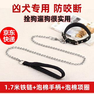 Spico chain dog leash, dog iron rope traction rope, anti-biting dog leash, medium and large dog tether, dog chain collar set, 1.7m iron chain + black foam handle + foam collar, diameter 3.0mm 5-25jin jin equals 0.5kg