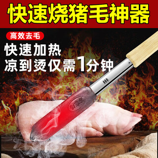 Jczs german electric iron for burning pig hair, high power, anti-scalding, pig skin and trotters, meat remover, hair removal artifact, household small 800w large three-plug wooden handle
