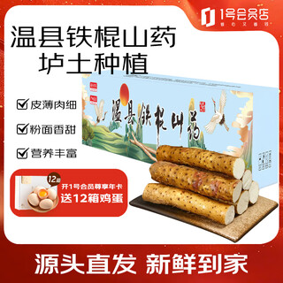 Fun to try wenxian loin soil iron bar yam net weight 5jin jin is equal to 0.5kg length 45-50cm no. 1 member store straight from the source