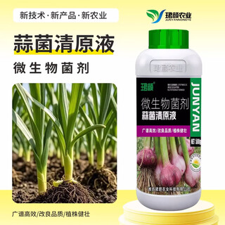 Garlic bacteria pure liquid microbial agent special medicine for garlic disease dry tip yellow leaf bactericidal microbial agent 1000g