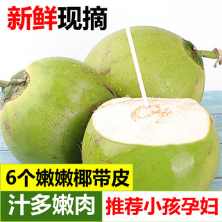 Gan guo has an appointment with hainan green coconut fresh coconut with skin green coconut for pregnant women to replenish amniotic fluid coconut green coconut fruit for pregnant women 6 tender coconuts with skin-recommended for pregnant women