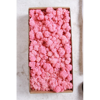 Plant boxed flower material package diy dry dried flowers real flower plant wall simulation fluffy background wall pink 500g