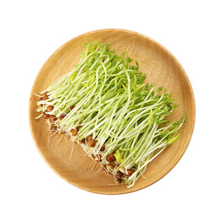 Live pea sprouts 220g