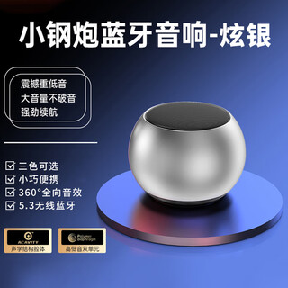栢启歆蓝牙音响迷你小型超重高音质小音箱平板手机低音炮家用户外小钢炮大音量便携式手机桌面迷你小音箱 DZ迷你小钢炮-蓝牙音响【炫银】