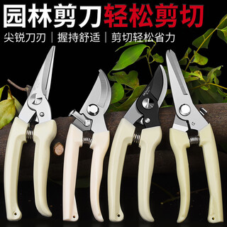 Baolian garden shears, pruning shears, flower shears, garden shears, flower art shears, branches, fruit tree scissors, branch shears, flower scissors, upgraded straight pruning shears