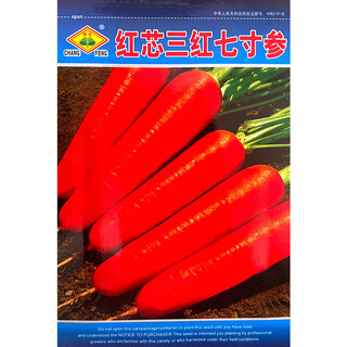 Цюин красное ядро три красных семидюймовых женьшеня семена моркови термостойкие семена редиса красное сердце семена моркови полевая база красное ядро три красных семидюймовых женьшеня около 500 капсул/changfeng seed industry