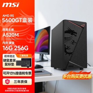 Msi ruilong r5 5600gt desktop computer complete machine commercial office home online class financial design game e-sports host diy assembly machine configuration 2丨5600gt core display丨16g丨256g solid state single host
