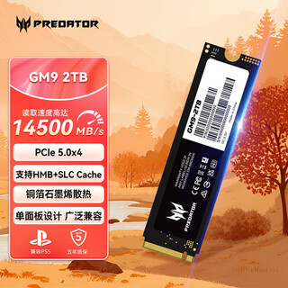宏碁掠夺者（PREDATOR）SSD固态硬盘 M.2接口 (GM9 NVMe PCIe5.0协议) GM9-2TB