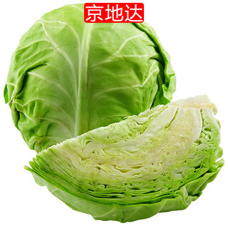 Jingdida shandong green cabbage, net weight 5jin jin is equal to 0.5kg, single fruit 200g + green cabbage, cabbage, straight from the source