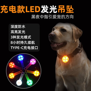 Pet luminous pendant, anti-lost dog accessories at night, usb rechargeable, high-brightness luminous outdoor dog walking warning light sign, orange type-c rechargeable version