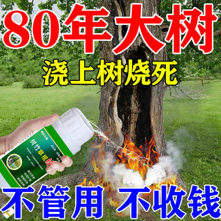 Special medicine for rotten tree roots: cyclozinone, special for removing big trees, powerful root rot king, one drop of tree dead and rotten root agent fertilizer, big tree dead 100ml 1 bottle