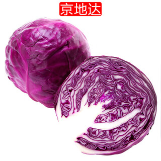 Jingdida shandong fresh purple cabbage, net weight 5jin jin is equal to 0.5kg, single 500g + cabbage ball origin hair straight