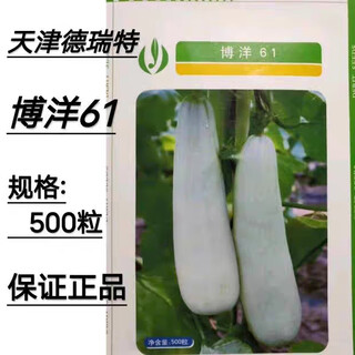 Bomei no. 9 croissant honey melon seeds boyang 9 flower skin green flesh thin skin sweet crispy balcony potted melon seeds 500 capsules original boyang 61