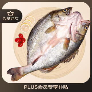 Xianquan lake three-packed white banana seabass 1jin jin is equal to 0.5kg/eviscerated frozen spines with less meat and thicker zhuhai specialty 500g fresh ingredients
