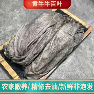 Fresh, non-soaked, no additives, tripe beef louver with bottom plate, fresh large slices, thousand-layer heart tube, yellow throat hot pot ingredients. 3jin jin is equal to 0.5kg. packed beef louver, consumption is about 50 grams.