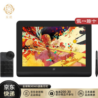 XP-Pen【日本直邮】XP-Pen数位屏/数位板 手绘板绘画屏 网课手写板 写字板电子绘板 Artist Pro 14 (Gen 2)