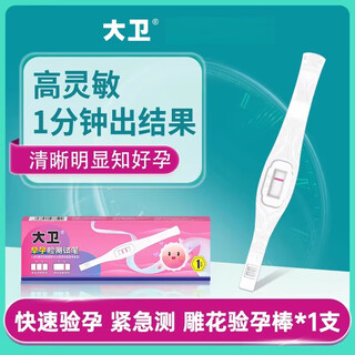 David pregnancy test stick early pregnancy test paper accurate pregnancy test high pregnancy test pregnancy test paper precision pen accurate carved pregnancy test stick 1