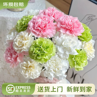 Yunnan flowers wholesale quality rose lily water fresh cut flowers for girlfriend birthday gift straight from the source single head ice cream carnations (15 white, pink and green in total) any 2 pieces free of charge