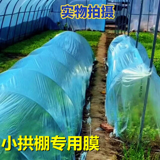 Transparent small arch shed special film plastic film vegetable greenhouse inner film for vegetable planting agricultural film seedling insulation plastic cloth 4 silk blue arch film new material width 1.5m * length 60m
