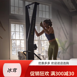 Concept2 brand rowing machine c2 wind resistance rowing machine rowerg home skierg ski machine