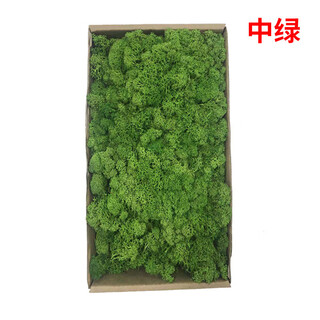 Plant boxed flower material package diy dry dried flowers real flower plant wall simulation fluffy background wall medium green 500g