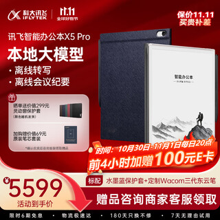 科大讯飞【重磅新品】智能办公本X5 Pro-水墨蓝 10.65英寸 墨水屏电纸书 电子书阅读器 手写笔记本电纸书