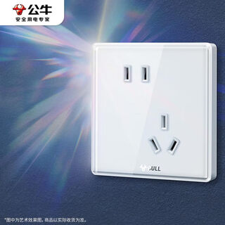 公牛（BULL）开关插座 亚克力系列 10A斜五孔插座86型插座面板 G62Z223A 白色