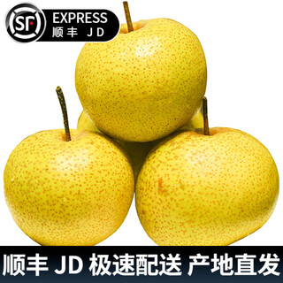迭果天津蓟县酸梨山区农家新鲜细皮小安梨老酸梨 5斤 大果150-190g