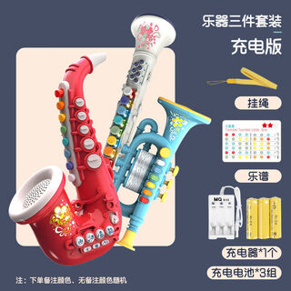 优品乐儿童萨克斯宝宝小号黑管电吹管乐器大全初学者易学便携式音乐玩具 乐器三件套装【充电套装】
