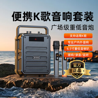 山水（SANSUI） 便携式手提k歌音响移动带户外大功率一体KTV广场舞音响小型直播音箱卡拉OK双无线话筒 Q7双麦【立体音效果+声卡音效】