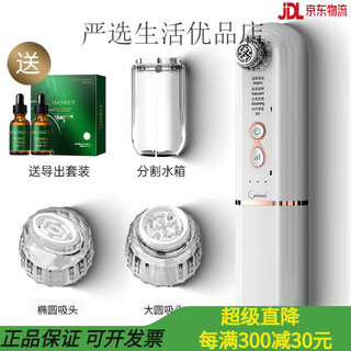 Ydf 2025 new water oxygen ice heat blackhead absorbing artifact electric pore cleansing beauty instrument to remove acne small bubbles white