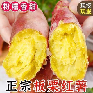 Lingmai fresh sweet potatoes, shandong fresh chestnut potatoes, fresh sweet potato powder, waxy and sweet yellow heart jishu no. 26 farm direct delivery, medium and large fruit (single fruit weighs more than 3 taels), net weight 4.5jin, jin is equal to 0.5kg