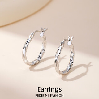 Yalundi silver earrings women's earrings plain rings unique and beautiful earrings women's 2025 new high-quality light luxurious earrings earrings buckle jewelry