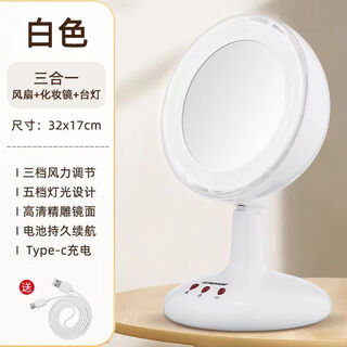 Multifunctional usb rechargeable led makeup mirror desktop with light and fan three-in-one fill-light mirror girls' makeup mirror three-in-one makeup mirror led light + fan + mirror white