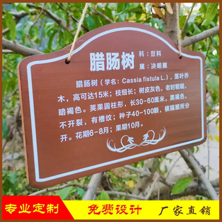Xushansi customized solid wood chinese herbal medicine brand introduction brand plant introduction card ground brand flower variety brand tree famous brand science brand hanging hole with hemp rope 30x50cm