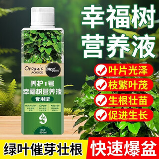 Ouoety leaf spot disease happy tree special fertilizer nutrient solution for flower cultivation, dry and fallen leaves hydroponic potted plant resurrection liquid happy tree nutrient solution 800ml*5 bottles