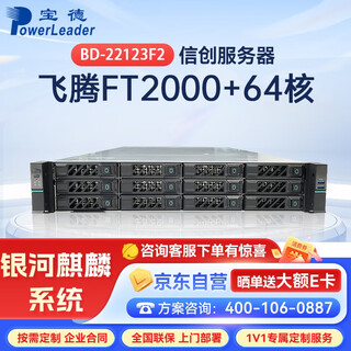Boyd bd-22123f2 feiteng rack server ft-2000+/4*32g/480g+4t/lr382a/gigabit network card/550w/rail/3-year warranty