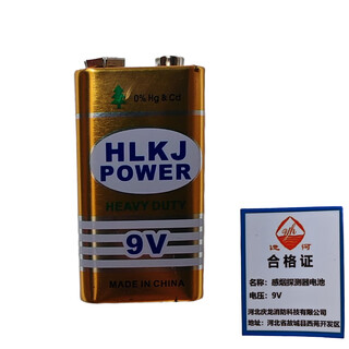 Canal smoke detector battery 9v