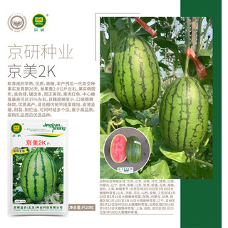 Jingyan jingmei watermelon seed jingxin jingmei sweet king 8424 kirin melon seedless lazy rock sugar small watermelon seed jingyan jingmei 2k thin skin small watermelon about 20 capsules