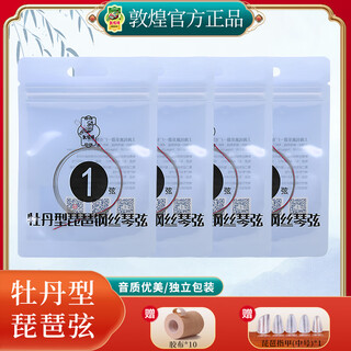 Dunhuang brand pipa strings pipa string set 1234 strings 4 pieces set pipa accessories