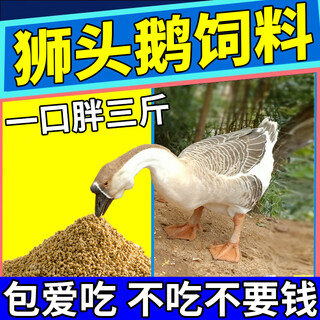 Special feed for lion-head geese, skeleton premix, goose seedlings, full-price granular grains, soft-footed chickens and ducks, what nutritional grains to eat, 500g/1 bag, small grains