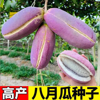 August melon seeds, august fried seeds, guizhou wild august melon saplings, less meat, more seeds, courtyard north and south, original factory packaging, 1 pack of august melon, about 35 pieces for free