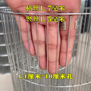 Zhongsenweit galvanized wire mesh fence steel wire long hole breeding anti-rat protection pigeonhouse iron mesh pigeon cage birdcage mesh 1.1*10 cm mesh - wire thickness 1.8 mm 1 meter high * 1 meter long - how many meters do you need to take a few pieces