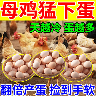 Egg-producing egg-producing egg-producing egg-increasing treasure special additive for hens, ducks and geese egg-laying feed, egg-stimulating spirit when it is too cold to lay eggs, buy 2 get 1 free, double egg laying