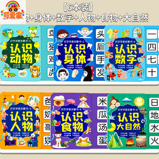 可爱家幼儿识字早教安静书宝宝启蒙粘贴书儿童魔术贴卡片玩具认字卡六一 【6本装】大自然+数字+食物+动物