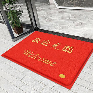 Cuttlefish welcome to the entrance door floor mat carpet wire ring dust removal anti-slip outdoor door mat 80*120cm