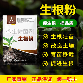 奥潍奥丰生根粉生根壮苗改良土壤育苗移栽正品农用微生物菌剂肥料 500g*20袋