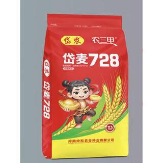 岱麦728 双国审抗倒抗病  高产量小麦种子 40袋宋8袋