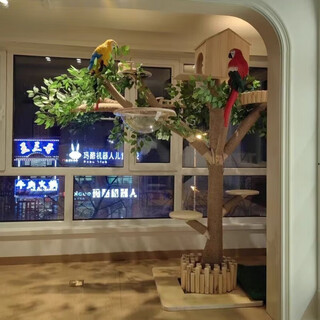 All solid wood cat climbing frame, cat nest integrated cat toy, cat scratching post, funny cat climbing frame, cat tree house, 1.8m high including house space capsule swing, sf express